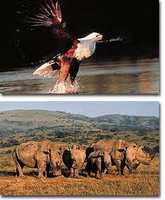 The Subtropical Africa Tour The Subtropical Africa Tour